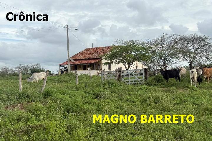 DIA DAS MÃES NA ESTRADA DA CAATINGA