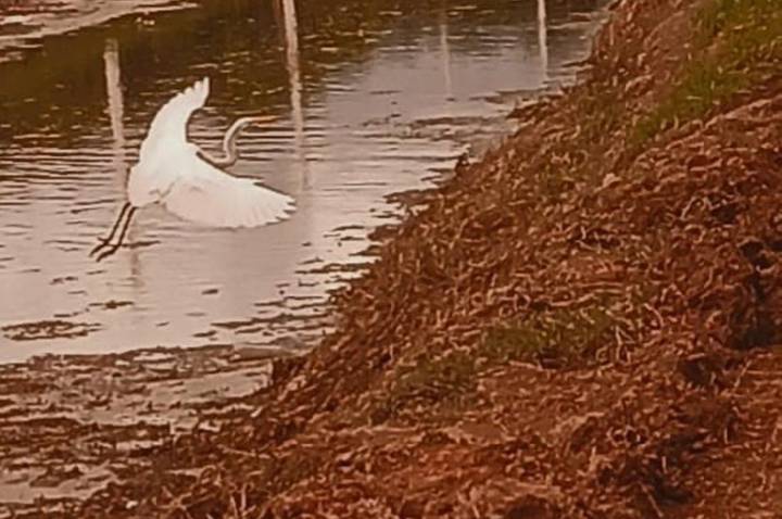 DO CAOS À LAMA, PORTO VELHO QUEM É QUE TE AMA