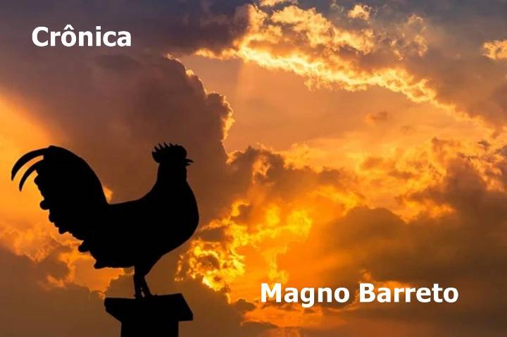 O canto que acorda o mundo