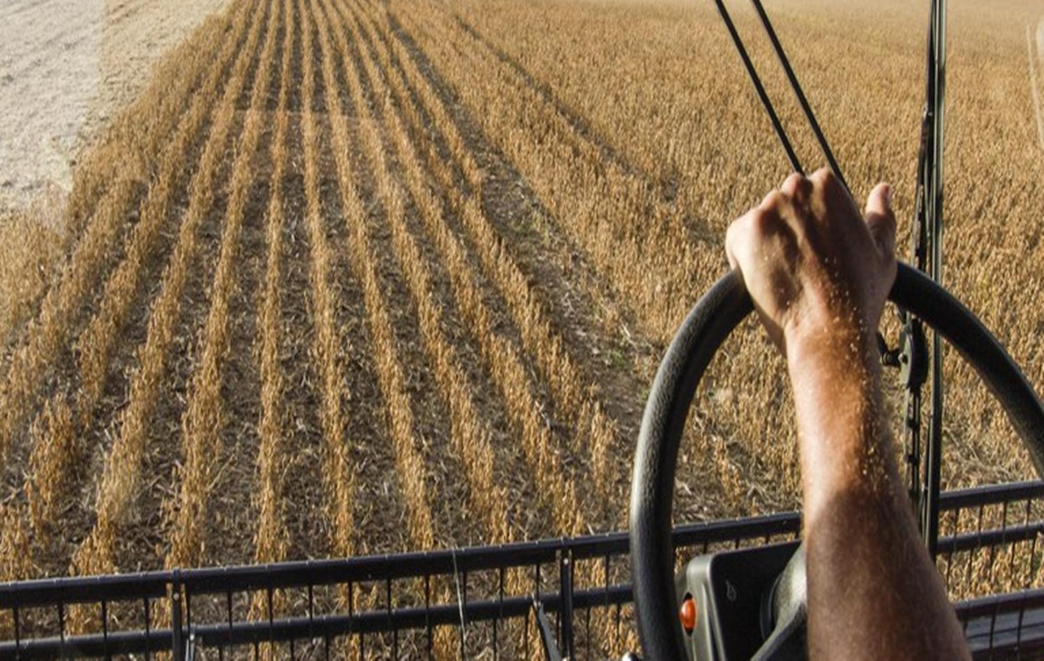 Crédito rural ultrapassa R$ 135 bilhões em sete meses