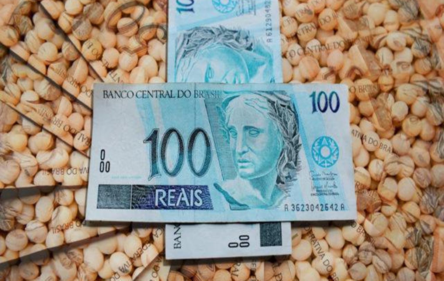 Tereza Cristina defende menos burocracia para acesso ao crédito rural