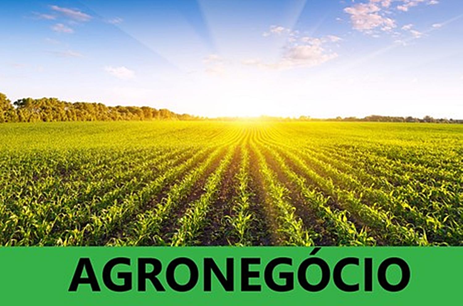 Conheça as 100 maiores empresas do agronegócio brasileiro