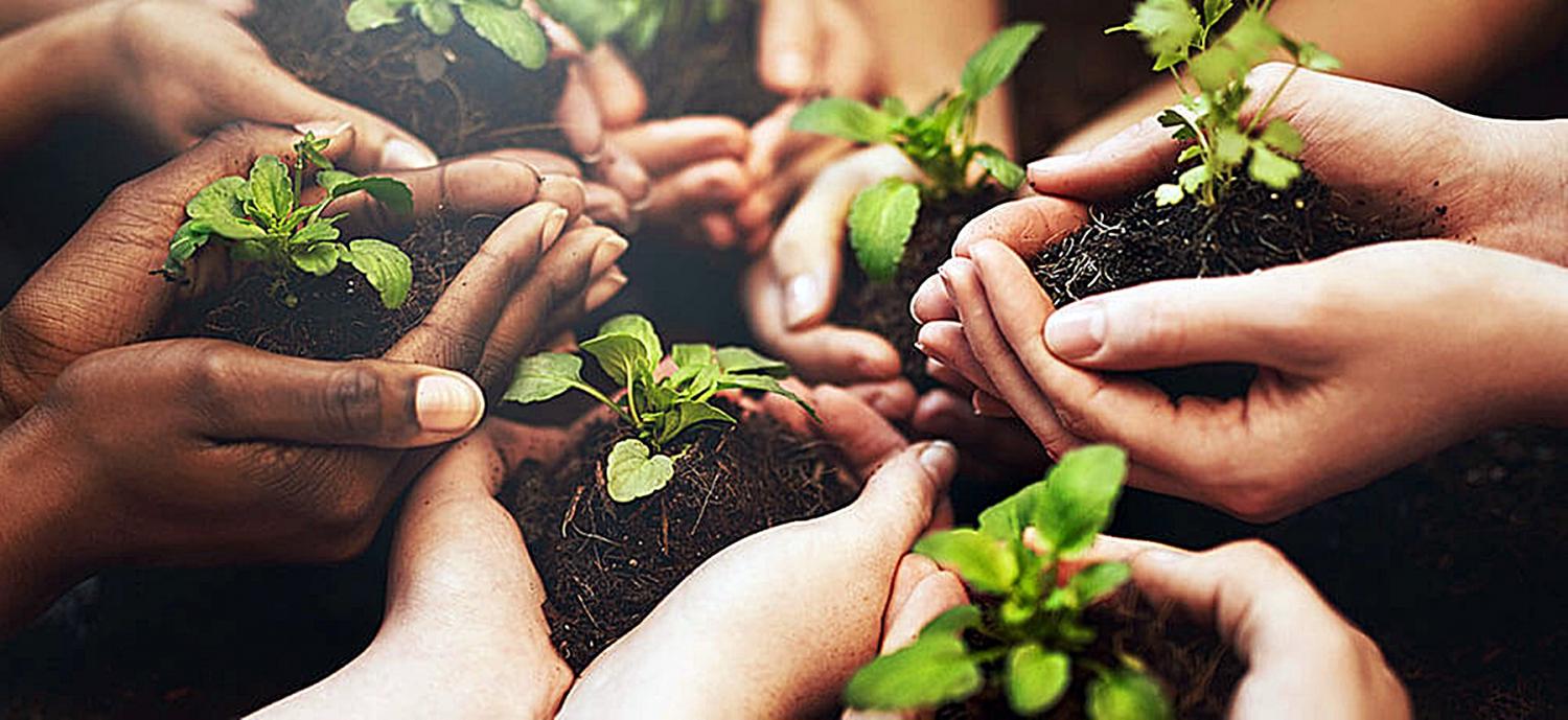 Mapa oferece curso de capacitação em cooperativismo para agricultores familiares