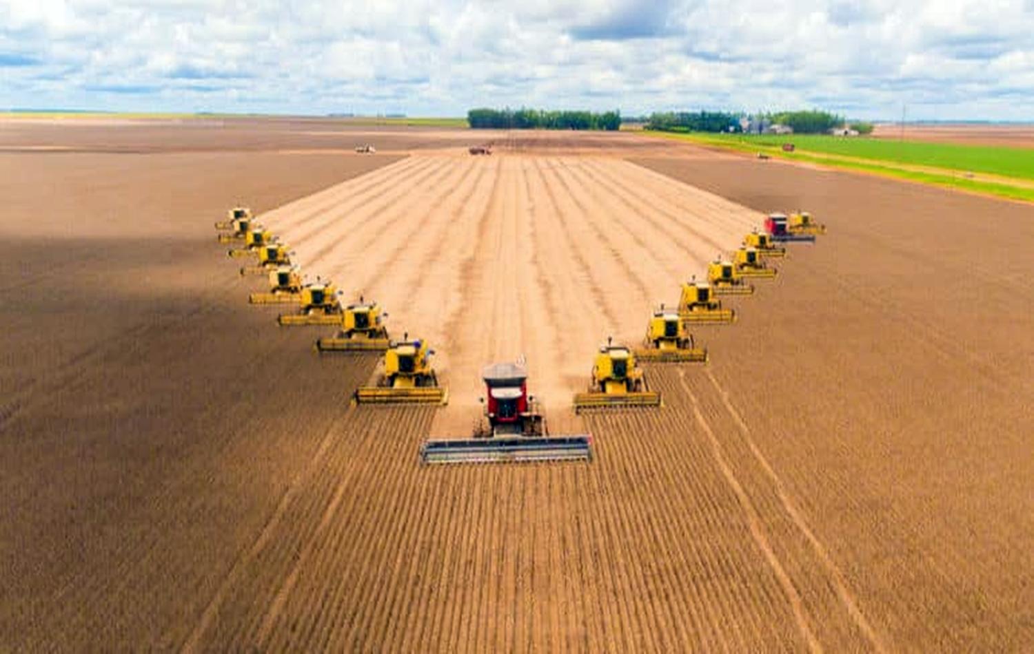 Produção de soja e aumento da área de milho impulsionam supersafra de grãos