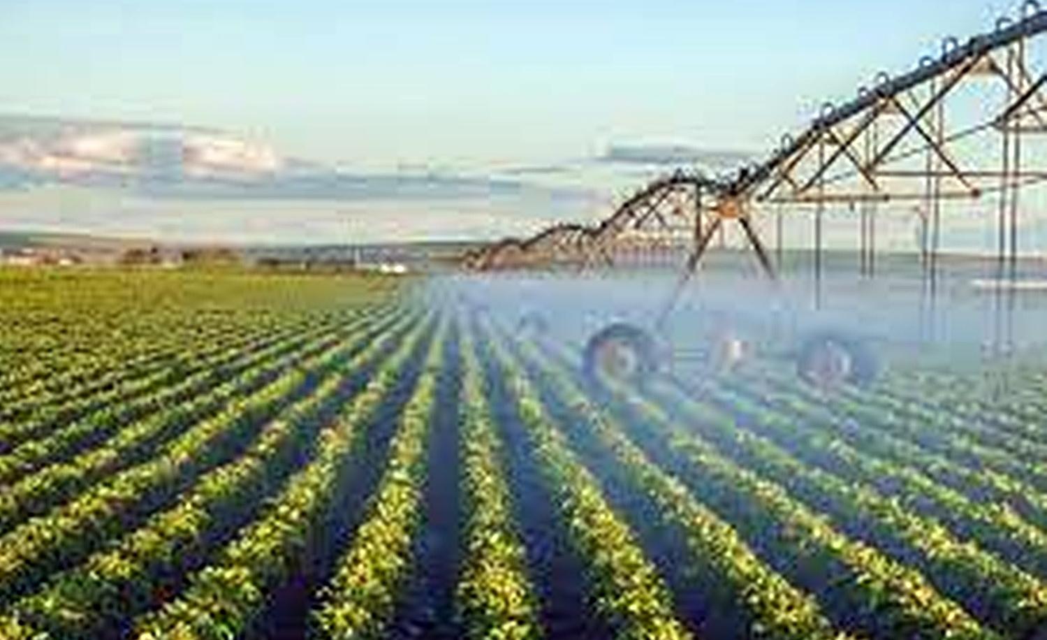 Com Plano ABC+, Brasil dá passo importante na sustentabilidade do agro, diz Embrapa