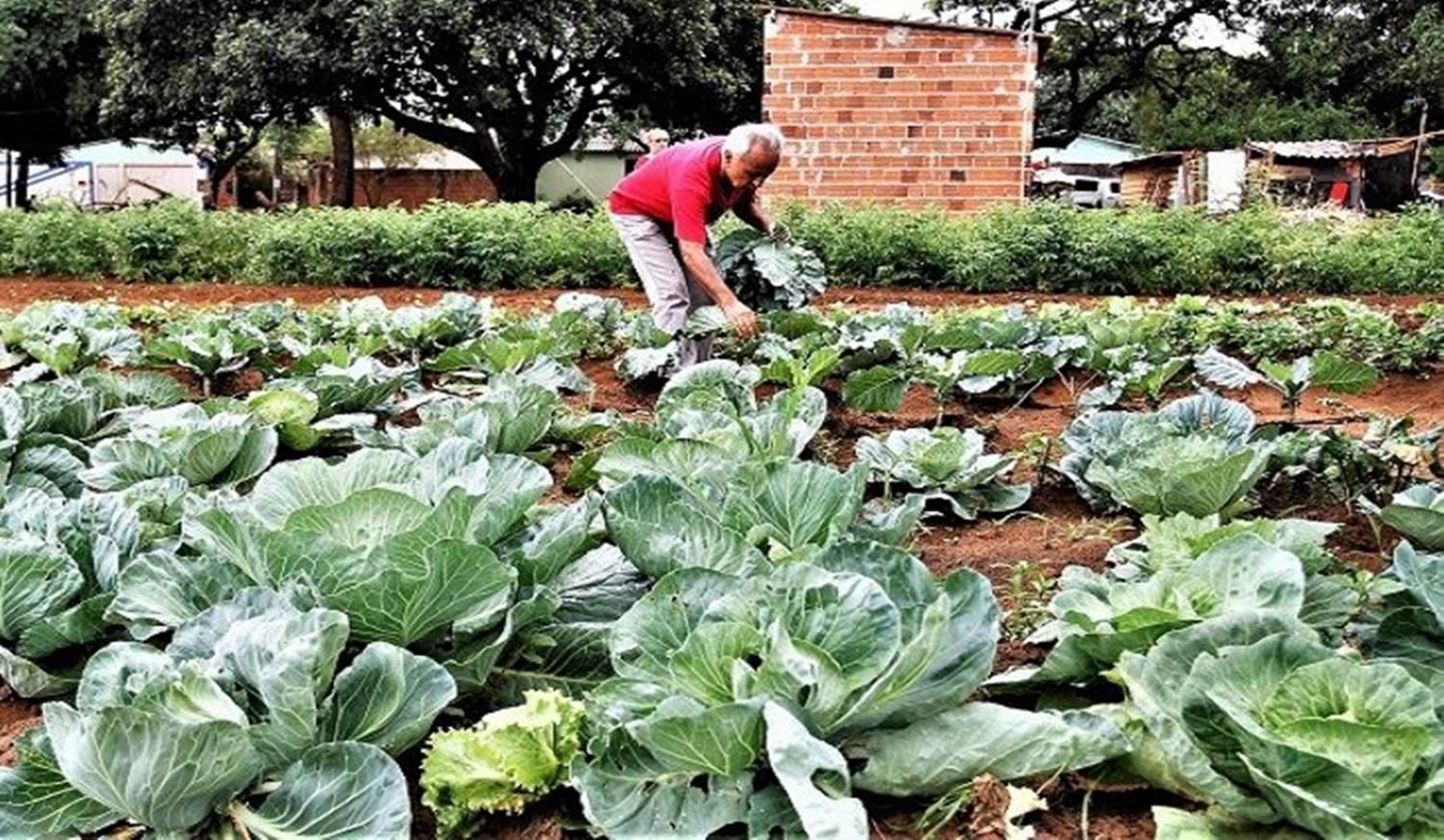 Governo vai auxiliar União na regularização de 30 mil títulos de terra da agricultura familiar em MS.