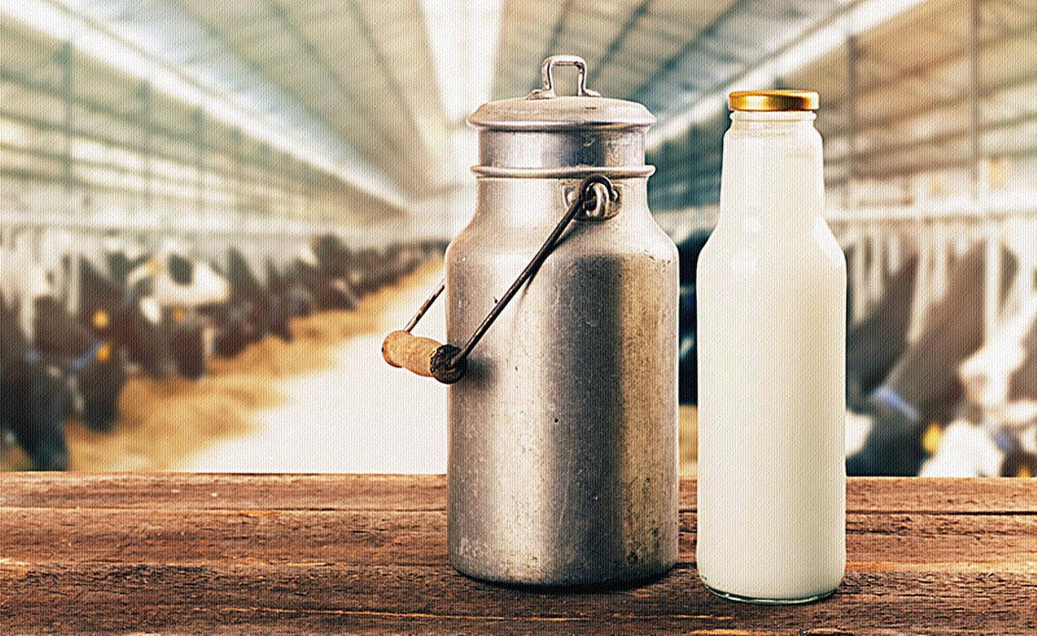 Fetagro apóia laticínios na decisão pelo preço minimo do leite revolta produtores