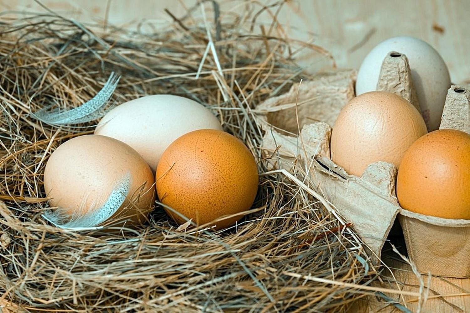 OVOS: Preços seguem em alta pela 4° semana consecutiva