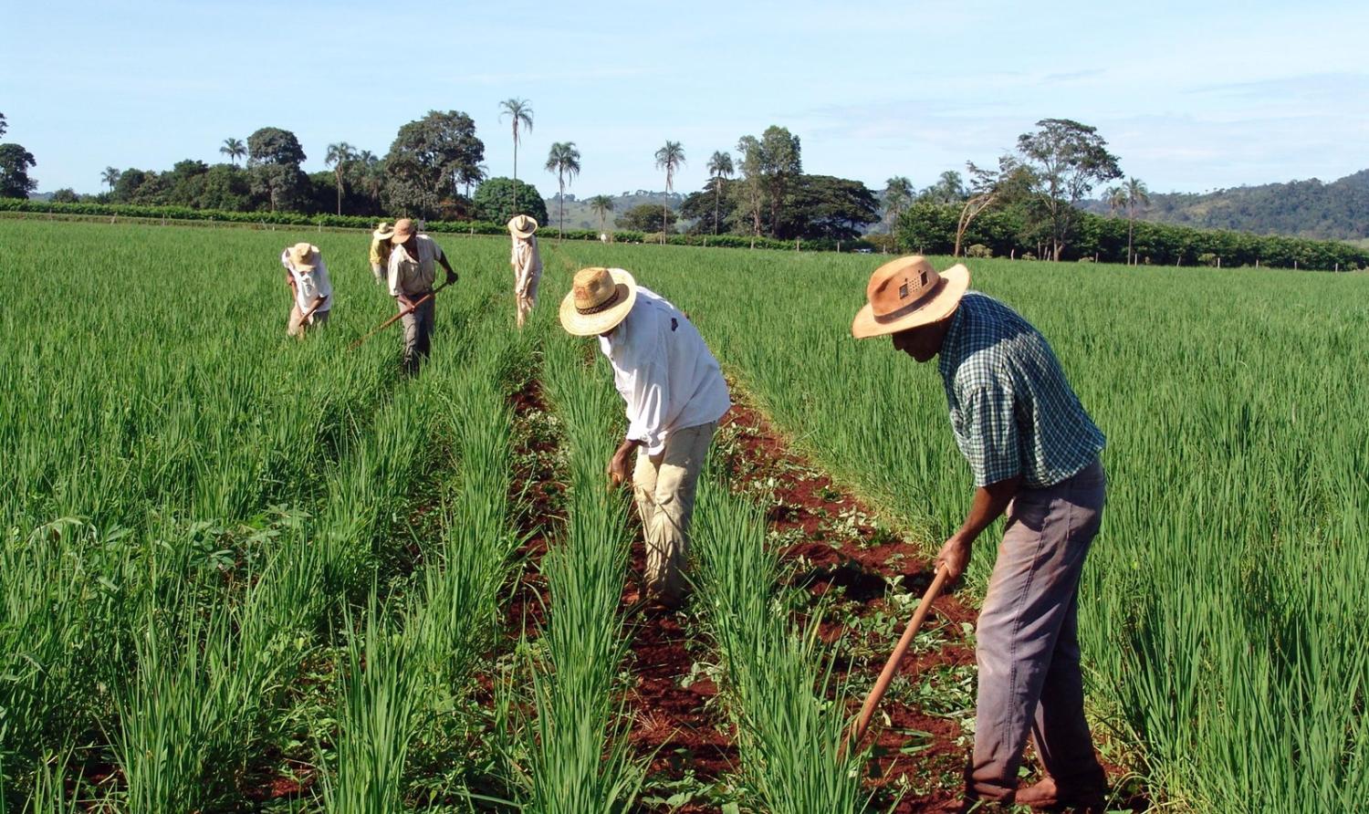 Crédito Rural pode ser pago com desconto de até 95%