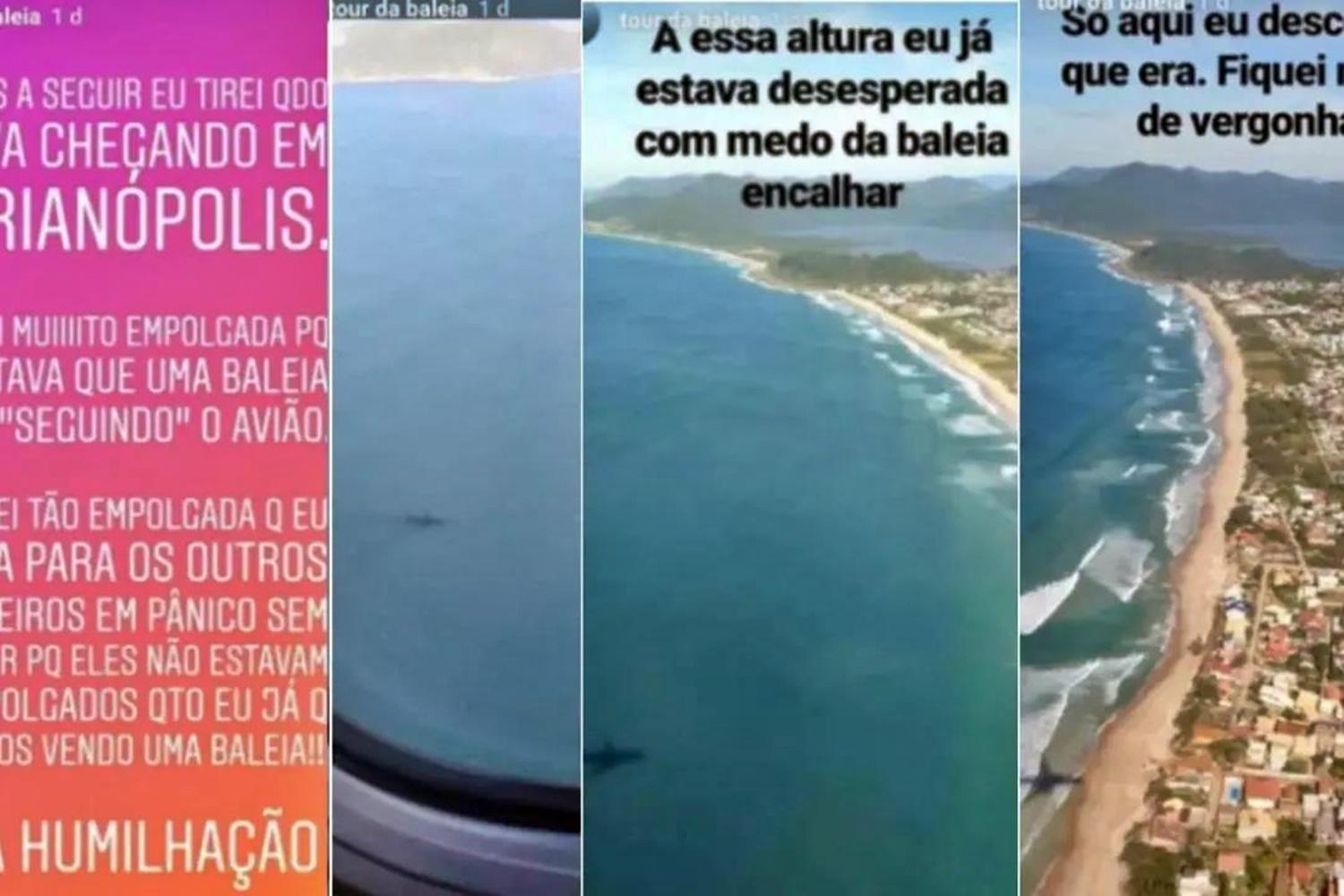 Passageira viraliza ao acreditar que baleia estava perseguindo avião