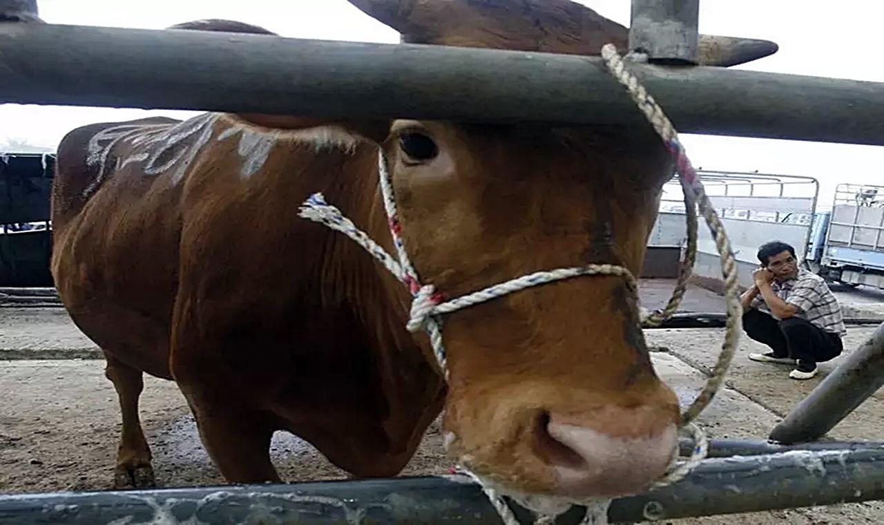 Brasil confirma caso de 