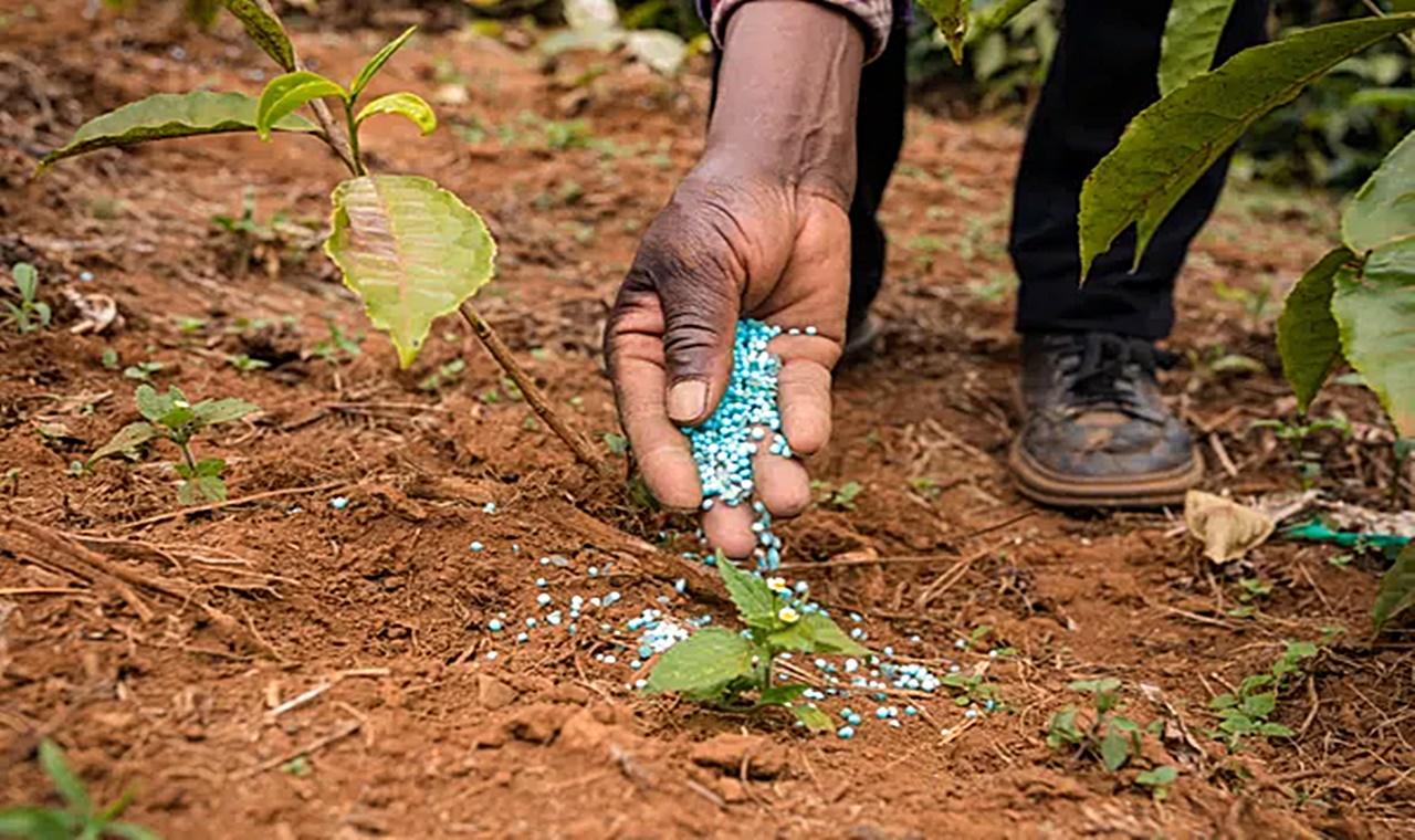Lula quer que o Brasil produza mais fertilizantes; saiba se país pode deixar de ser dependente do exterior