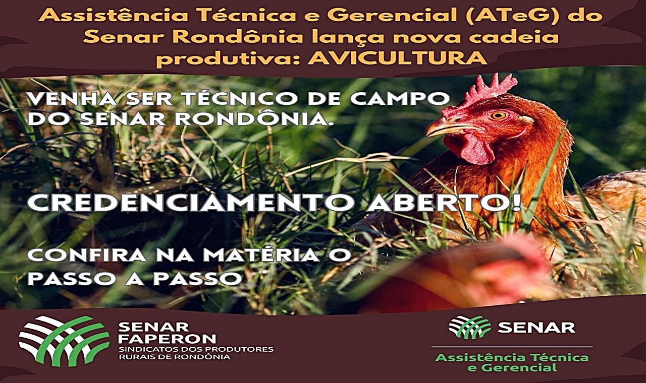 AVICULTURA – Senar Rondônia implanta nova cadeia produtiva para atender à demanda crescente de avicultores no estado.