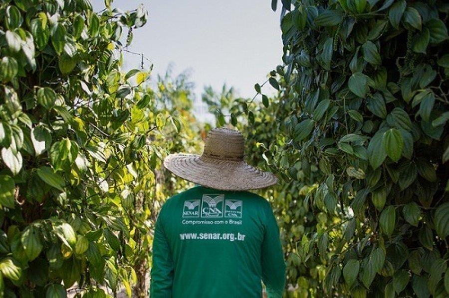 SENAR-RO - Produtores rurais interessados em investir na Agroindústria terão suporte e treinamento