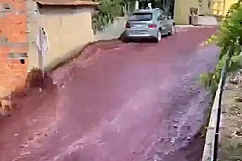 VÍDEO: Cidade é inundada por 'rio' de vinho em Portugal após depósito estourar