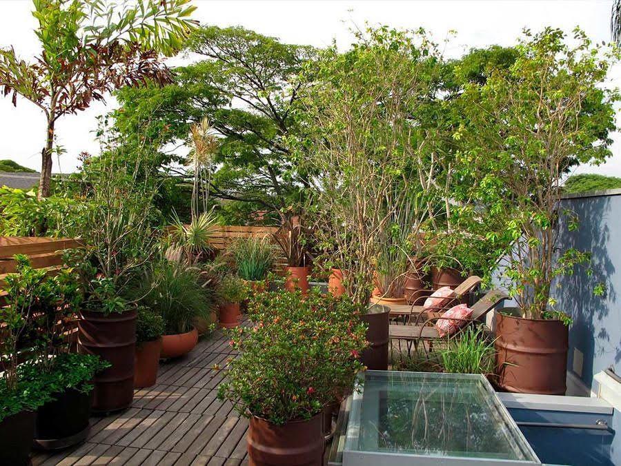 Jardins de Cobertura:  Uma alternativa de serenidade urbana