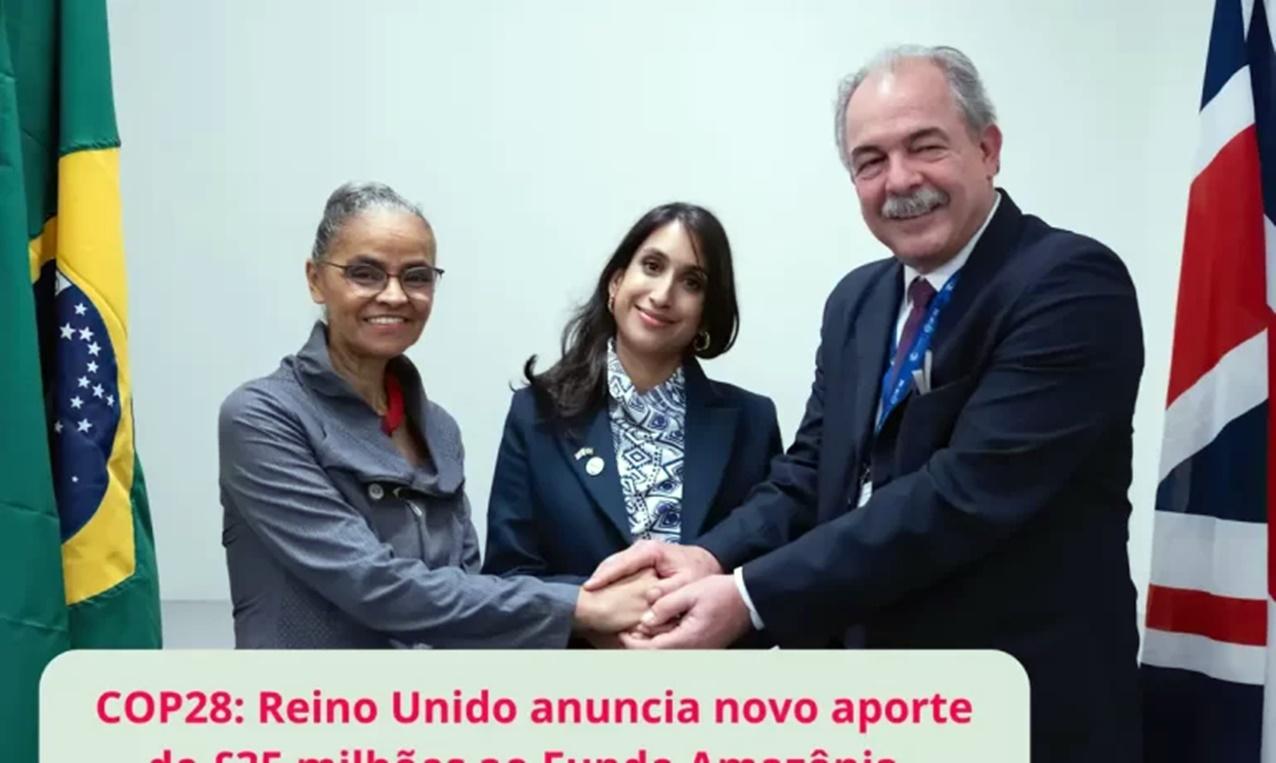 Reino Unido doará mais R$ 215 milhões para o Fundo Amazônia