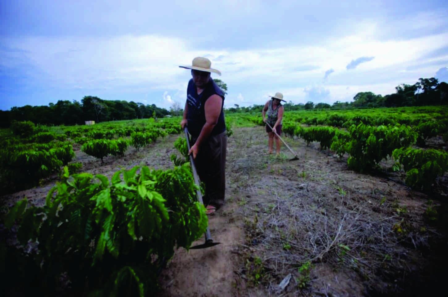 Em RO, programa de crédito fundiário garante R$ 4,8 milhões para a agricultura familiar