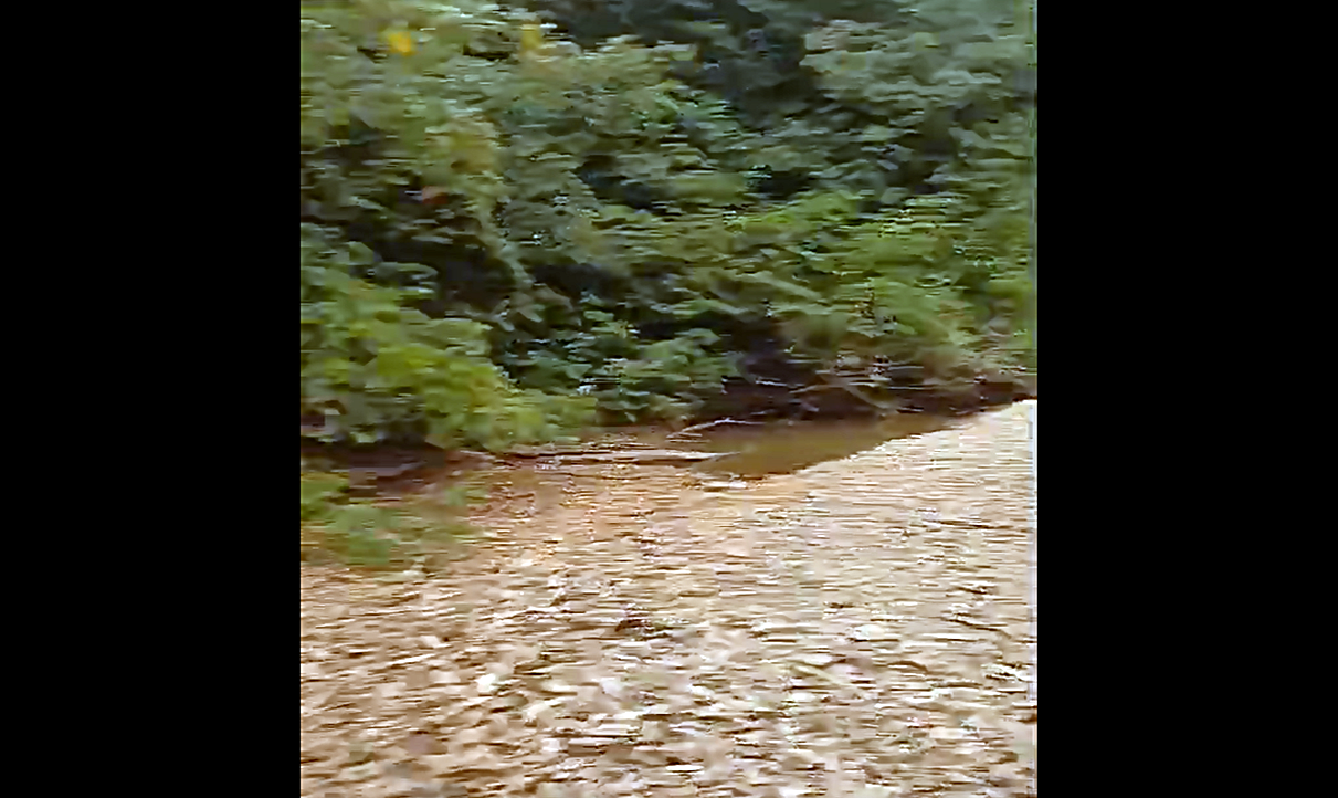 ESPIGÃO SEM ÁGUA – Rio Palmeiras seca de novo e situação é critica