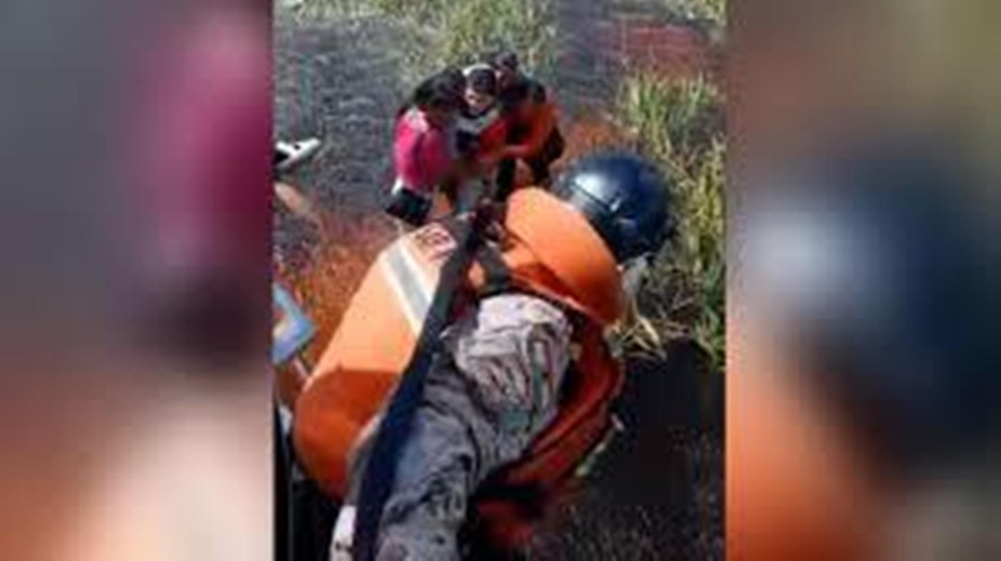 Bolívia: grupo é salvo dias após avião cair em pântano cheio de jacarés