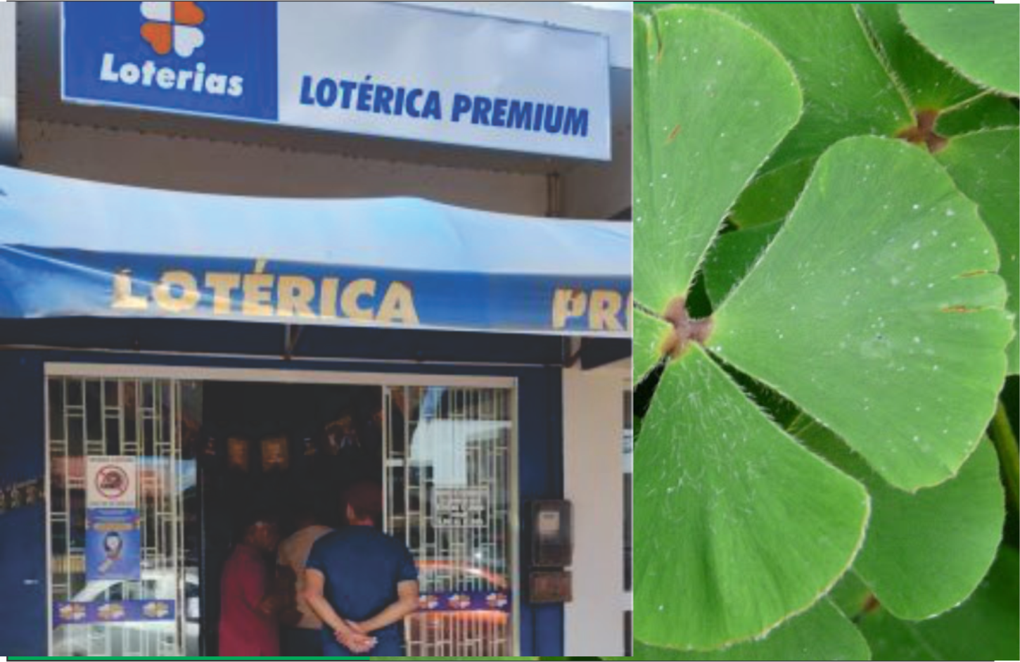 Apostador de Seringueiras acerta a Lotofácil e irá receber mais de meio milhão de reais