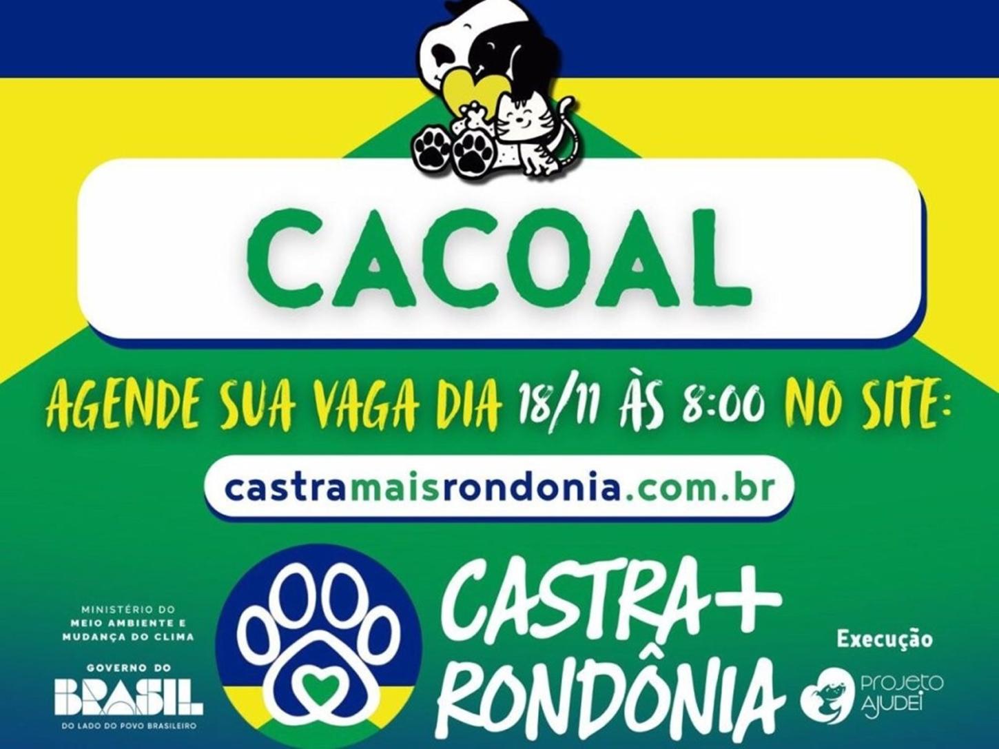Castra + atende cães e gatos gratuitamente em Cacoal