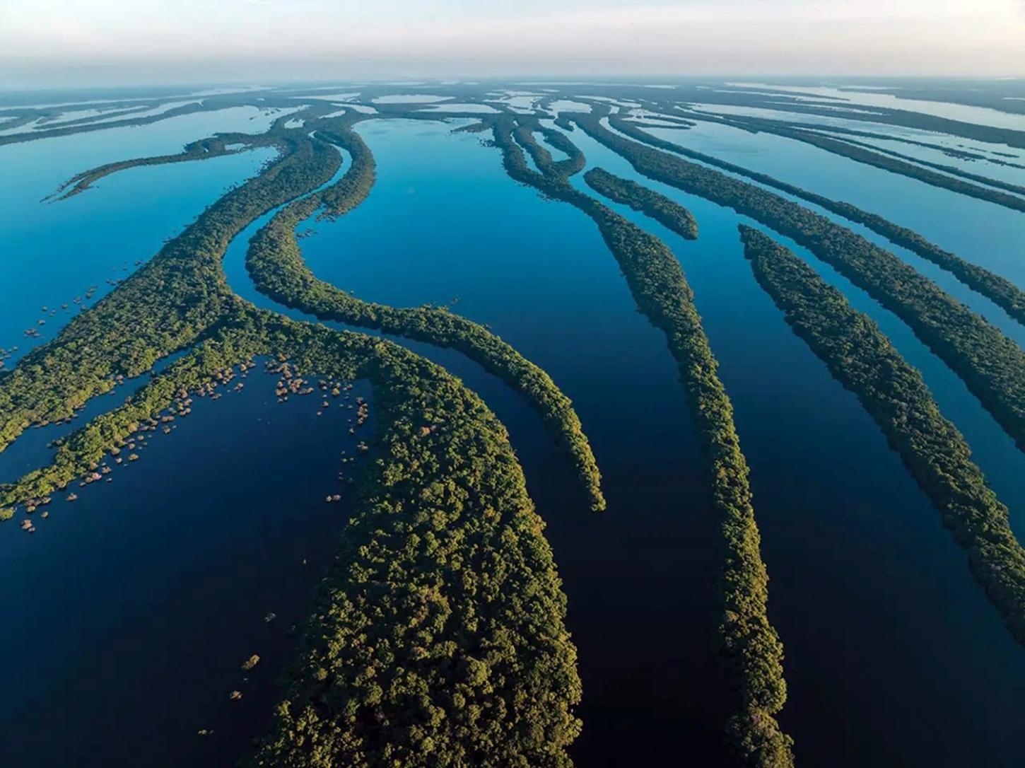 A Amazônia vai inundar e secar em 2026? El Niño chega em maio, com intensidade de moderada a forte; a cheia dos rios será maior que a de 2025