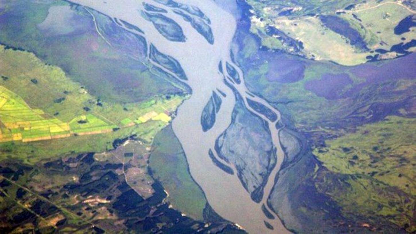 Pesquisadores encontraram lago na Amazônia com jacarés de 10 metros, roedores gigantes e tartarugas colossais