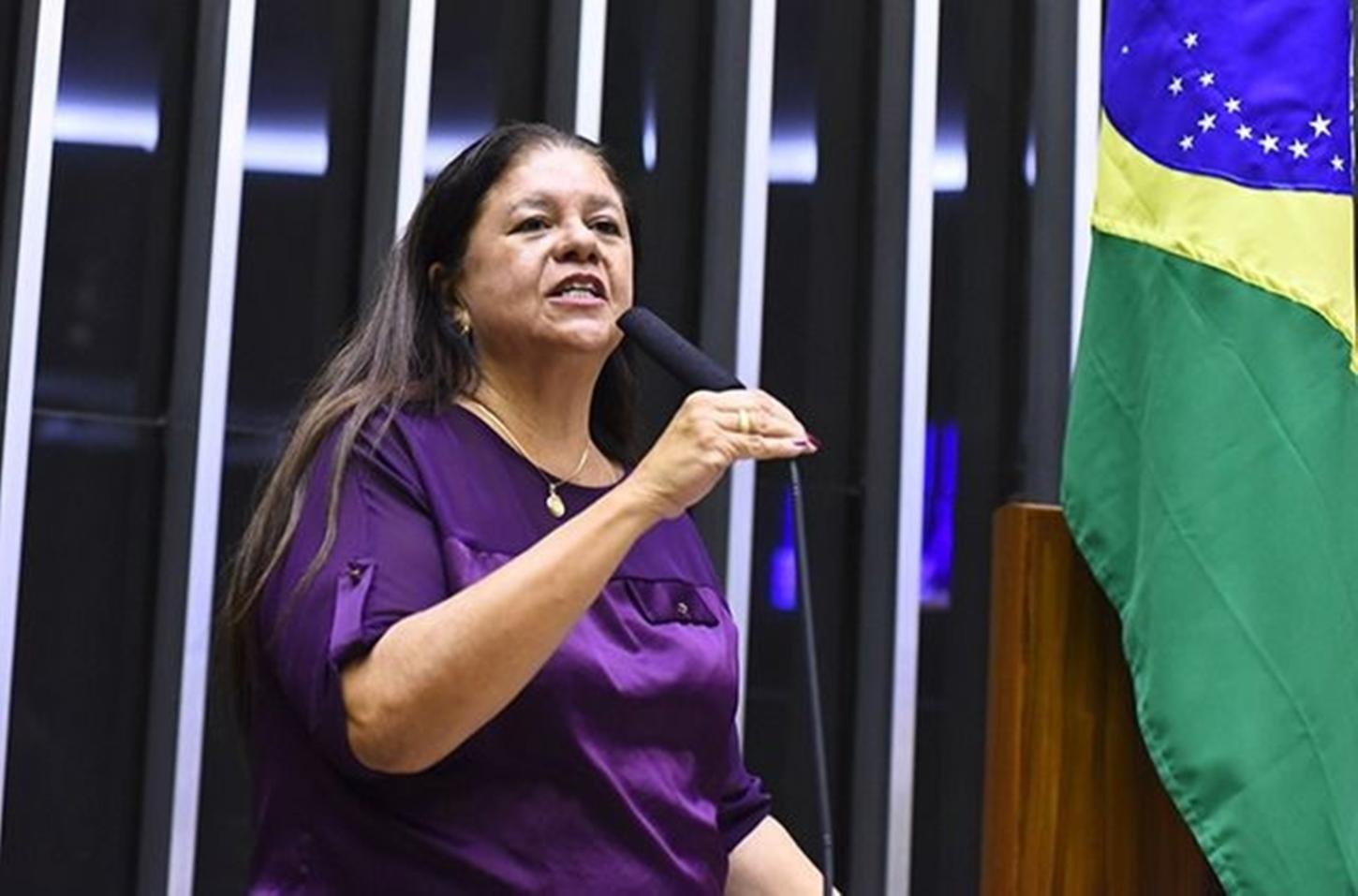 PL que torna Anna Nery “Patrona da Enfermagem no Brasil” avança na Câmara