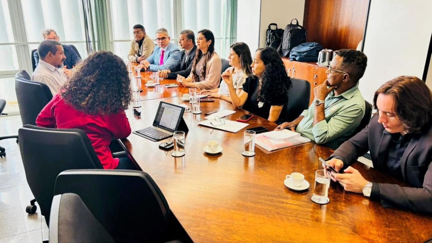 Cofen participa de articulação para criação de curso de Enfermagem aos povos indígenas