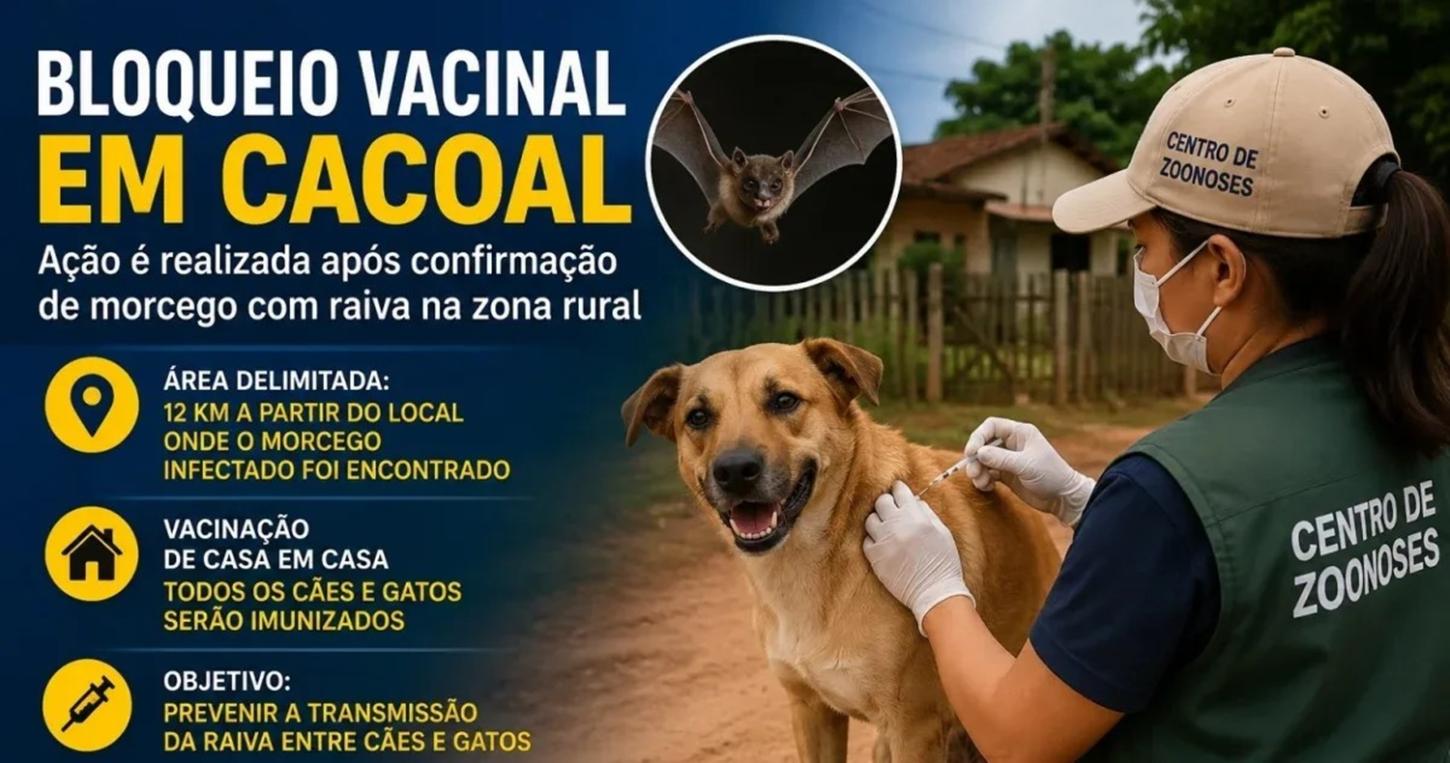 CACOAL - Bloqueio vacinal é realizado após confirmação de morcego com raiva na zona rural