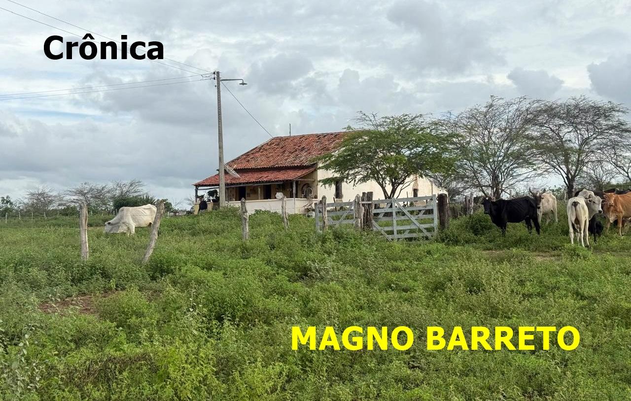 DIA DAS MÃES NA ESTRADA DA CAATINGA