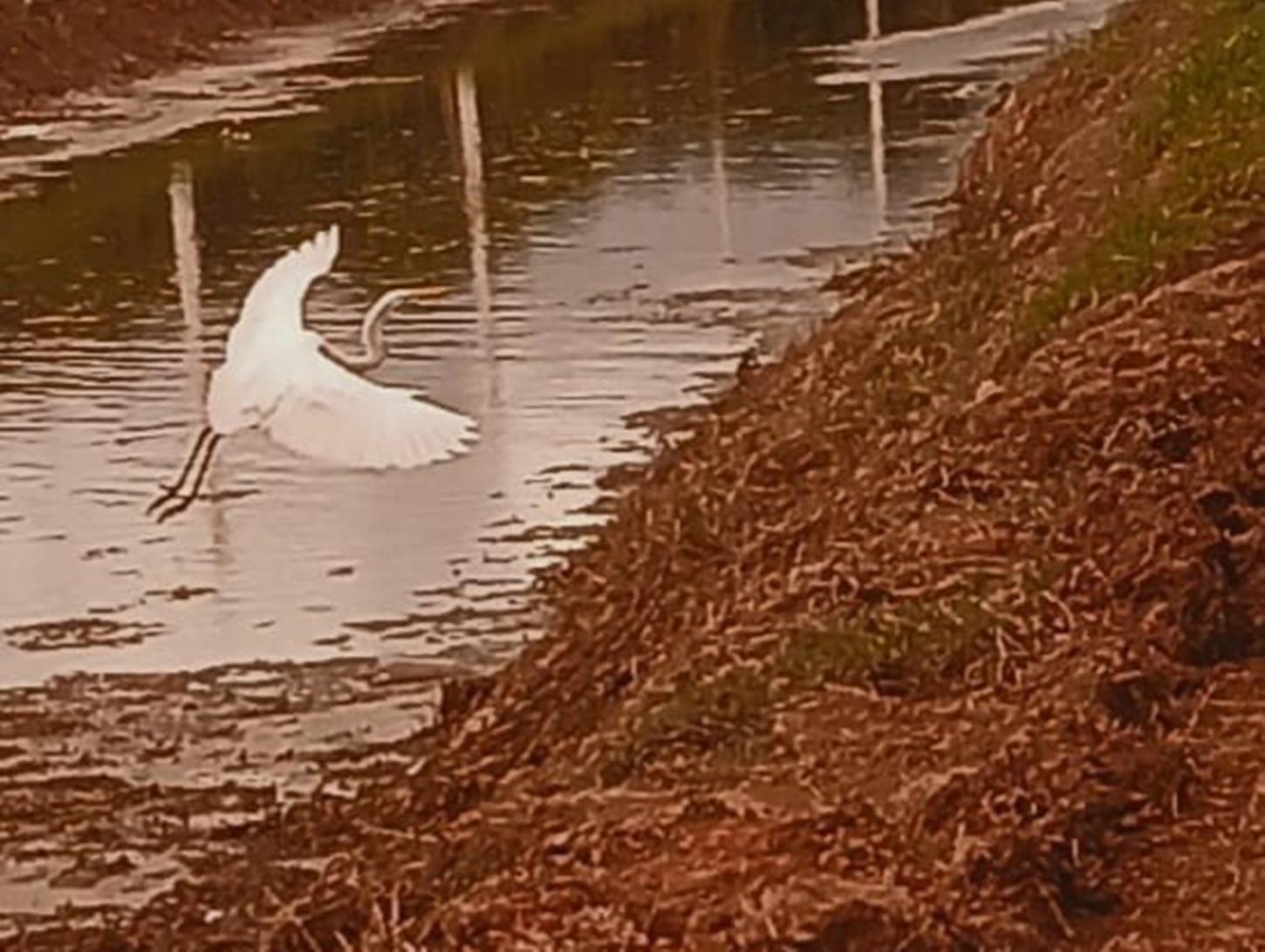 DO CAOS À LAMA, PORTO VELHO QUEM É QUE TE AMA