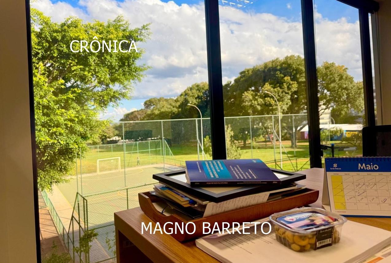 UM PASSARINHO NA VIDRAÇA